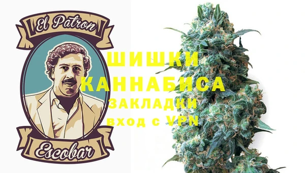 трава Абаза