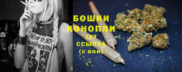 ГАЛЛЮЦИНОГЕННЫЕ ГРИБЫ Протвино