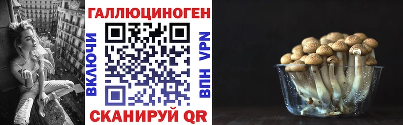 цена   Избербаш  Псилоцибиновые грибы Psilocybine cubensis 